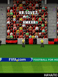 FIFA 09:  -