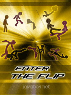 Enter The Flip