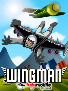 Wingman    !