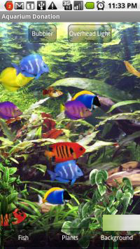   Aquarium