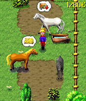   :   (Horse & Pony - My Stud Farm)