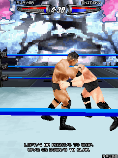  2008 (WWE SmackDown vs. RAW 2008)