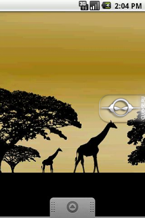   Giraffe Live
