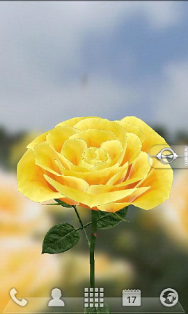   3D Rose