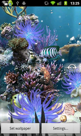   Coral Reef
