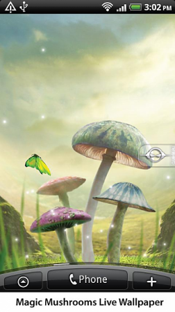   Magic Mushroom