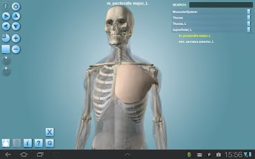 Anatronica (Anatomy 3D)