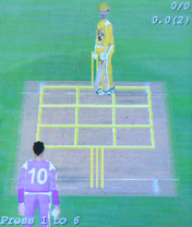  (Cricket 3D)