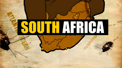  :  ! (Breakdesign That Roach Game South Africa)