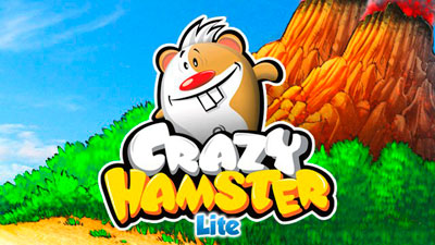   (Crazy Hamster)