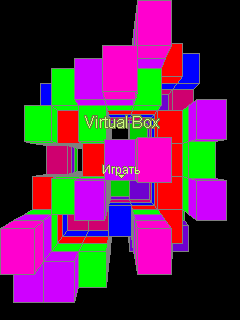   (Virtual Box)