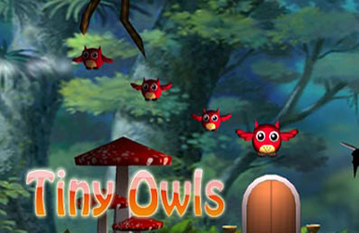   (Tiny Owls)