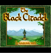 Черная Цитадель (Black Citadel)
