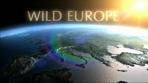 BBC: .   / BBC: Wild Europe
