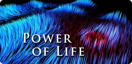 Power of Life Live Wallpaper -    maxelus