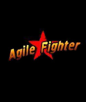   (Agile Fighter)