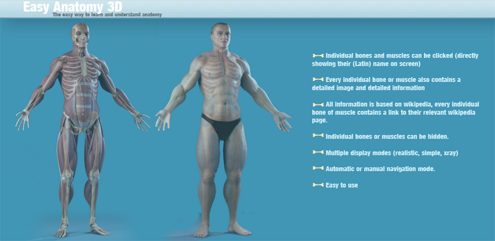 Easy Anatomy приложение. Виртуальная анатомия 4.0. Приложение по анатомии muscul.