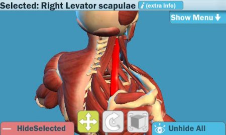 Easy Anatomy 3D