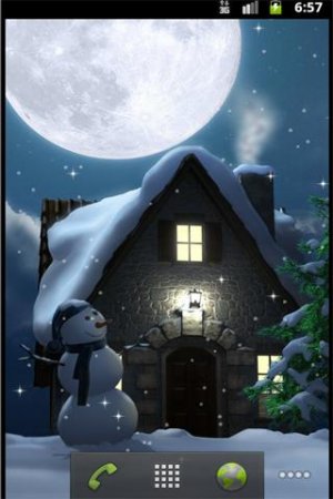 Winter Moon Night
