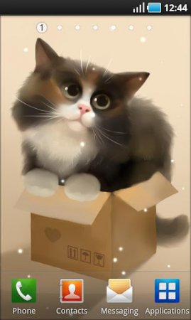 Cat in the Box 1.0.0