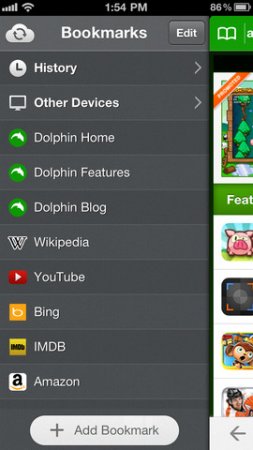 Dolphin Browser 