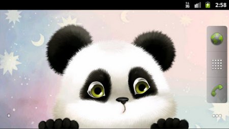 Panda Chub Live Wallpaper