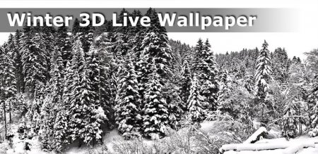 Winter 3D Live Wallpaper