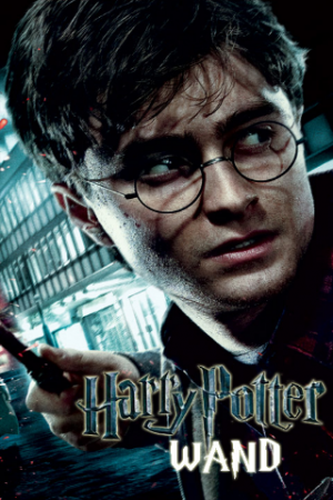 Harry Potter Wand 1.00