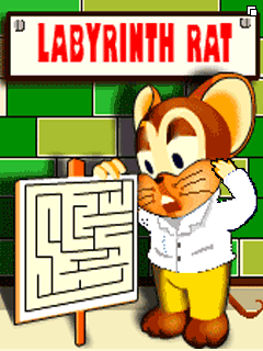 Крыса в лабиринте (Labyrinth Rat)