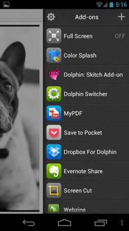 Dolphin Browser Beta 1.1.1