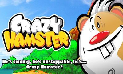   (Crazy Hamster)