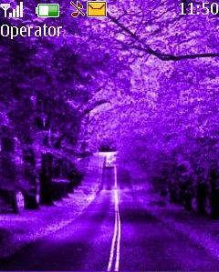  Purple Forest
