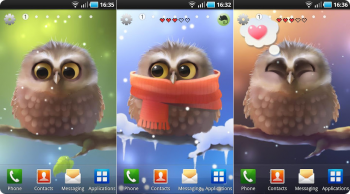 Little Owl Live Wallpaper -  