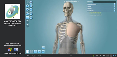 Anatomy 3D Pro - энциклопедия по анатомии