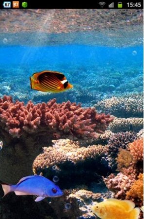 Coral Live Wallpaper 3D