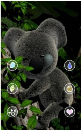 Talking Mofli Koala /   