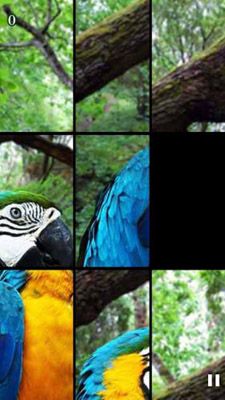  ��������: �������� (Animals Funitto)