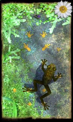 Древняя Лягушка (Ancient Frog)