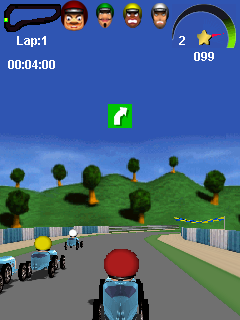   3D (Road Racer 3D)