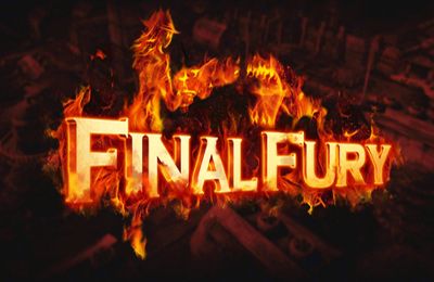 Финальная Оборона (Final Fury Pro)
