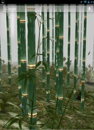 Бамбуковая роща 3D