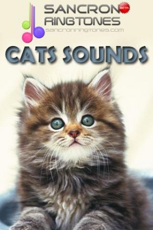 Cat Sound Ringtones