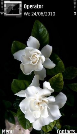 Тема  White Flowers