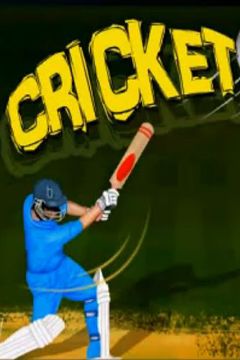  (Cricket Game)