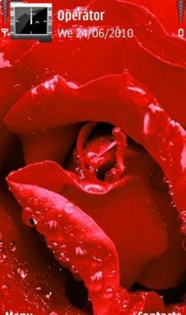 Тема  Absolutel Red Rose
