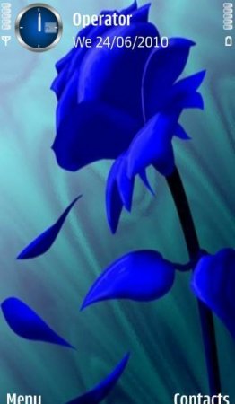   blue rose