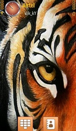 Тема  Tiger Eye