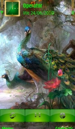 Тема  Peacock