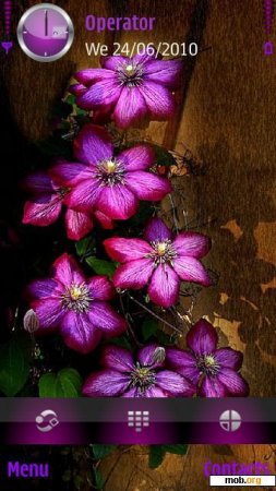 Тема  Purple Flower