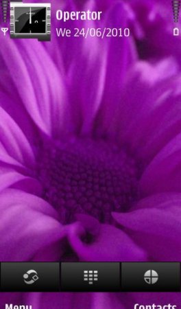   Absolutely Purple Flower